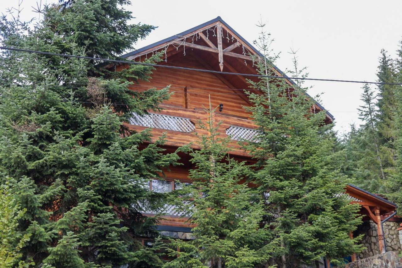 Forest House Мигово Экстерьер фото